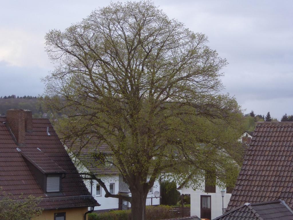 Ferienwohnung Max Kassel Luaran gambar